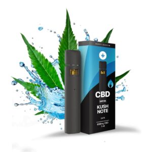 וייפ סיבידי קוש נוט CBD Vape Kush Note 650mg